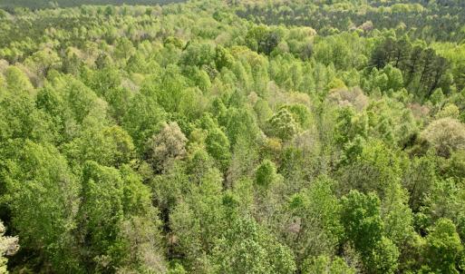 Photo #30 of SOLD property in Union Woods Dr, Brodnax, VA 25.7 acres
