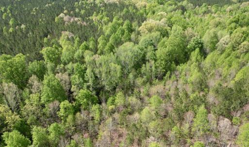 Photo #31 of SOLD property in Union Woods Dr, Brodnax, VA 25.7 acres