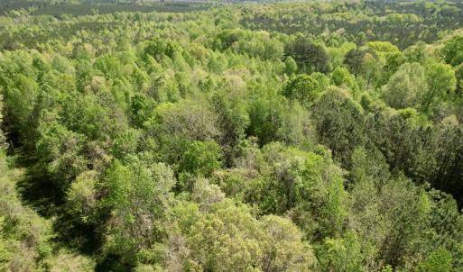 Photo #32 of SOLD property in Union Woods Dr, Brodnax, VA 25.7 acres