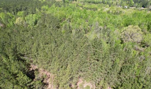 Photo #33 of SOLD property in Union Woods Dr, Brodnax, VA 25.7 acres