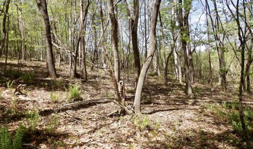 Photo #36 of SOLD property in Union Woods Dr, Brodnax, VA 25.7 acres
