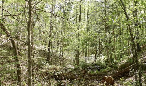 Photo #38 of SOLD property in Union Woods Dr, Brodnax, VA 25.7 acres