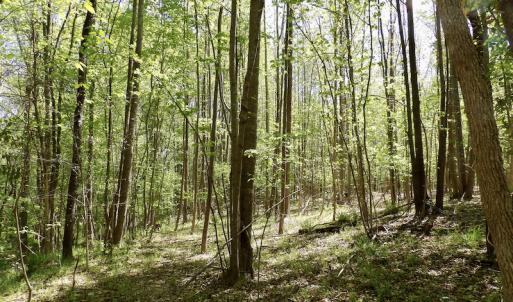 Photo #39 of SOLD property in Union Woods Dr, Brodnax, VA 25.7 acres
