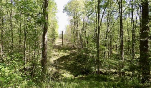 Photo #41 of SOLD property in Union Woods Dr, Brodnax, VA 25.7 acres