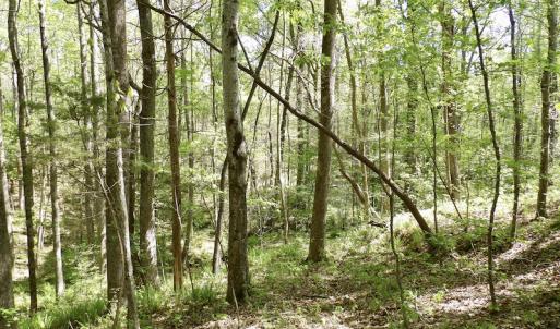 Photo #43 of SOLD property in Union Woods Dr, Brodnax, VA 25.7 acres