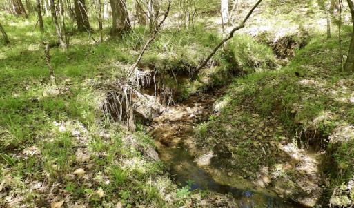 Photo #46 of SOLD property in Union Woods Dr, Brodnax, VA 25.7 acres