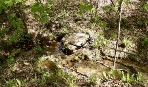 Photo #48 of SOLD property in Union Woods Dr, Brodnax, VA 25.7 acres