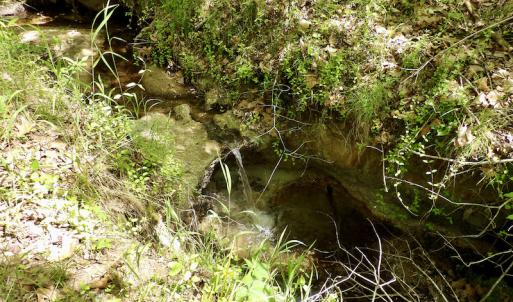 Photo #49 of SOLD property in Union Woods Dr, Brodnax, VA 25.7 acres