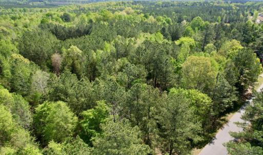Photo #5 of SOLD property in Union Woods Dr, Brodnax, VA 25.7 acres