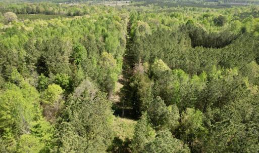 Photo #6 of SOLD property in Union Woods Dr, Brodnax, VA 25.7 acres