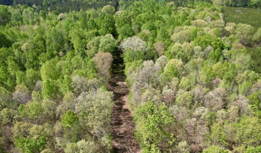 Photo #7 of SOLD property in Union Woods Dr, Brodnax, VA 25.7 acres