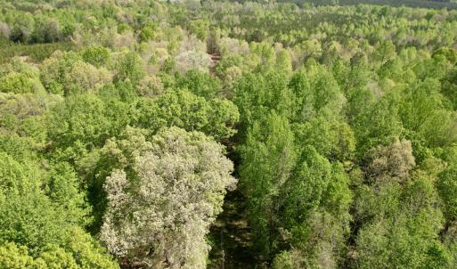 Photo #8 of SOLD property in Union Woods Dr, Brodnax, VA 25.7 acres