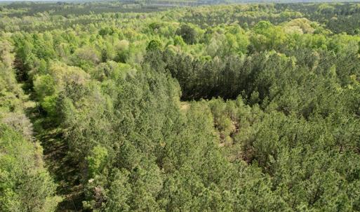 Photo #9 of SOLD property in Union Woods Dr, Brodnax, VA 25.7 acres