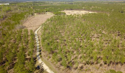Photo #2 of SOLD property in 916 Republican Road, Windsor, NC 275.0 acres