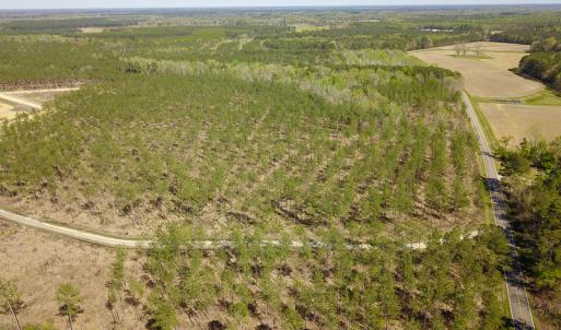 Photo #4 of SOLD property in 916 Republican Road, Windsor, NC 275.0 acres