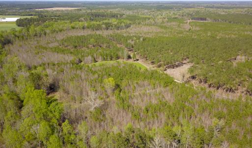 Photo #6 of SOLD property in 916 Republican Road, Windsor, NC 275.0 acres