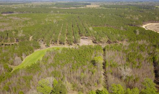 Photo #7 of SOLD property in 916 Republican Road, Windsor, NC 275.0 acres