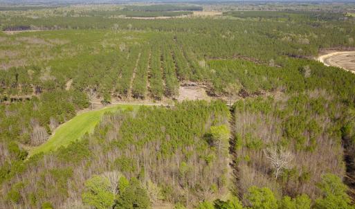 Photo #7 of SOLD property in 916 Republican Road, Windsor, NC 275.0 acres