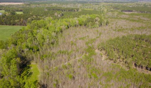 Photo #8 of SOLD property in 916 Republican Road, Windsor, NC 275.0 acres