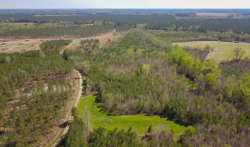 Photo #9 of SOLD property in 916 Republican Road, Windsor, NC 275.0 acres