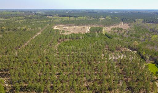 Photo #10 of SOLD property in 916 Republican Road, Windsor, NC 275.0 acres