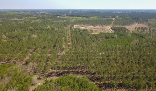 Photo #11 of SOLD property in 916 Republican Road, Windsor, NC 275.0 acres