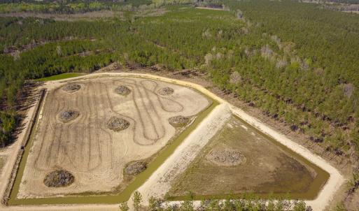 Photo #13 of SOLD property in 916 Republican Road, Windsor, NC 275.0 acres
