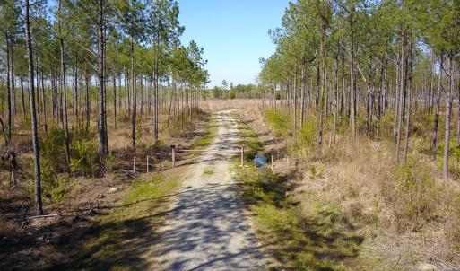 Photo #14 of SOLD property in 916 Republican Road, Windsor, NC 275.0 acres