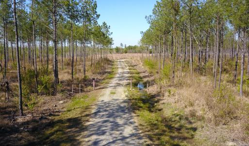 Photo #14 of SOLD property in 916 Republican Road, Windsor, NC 275.0 acres