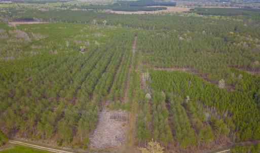 Photo #15 of SOLD property in 916 Republican Road, Windsor, NC 275.0 acres