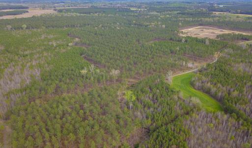 Photo #16 of SOLD property in 916 Republican Road, Windsor, NC 275.0 acres