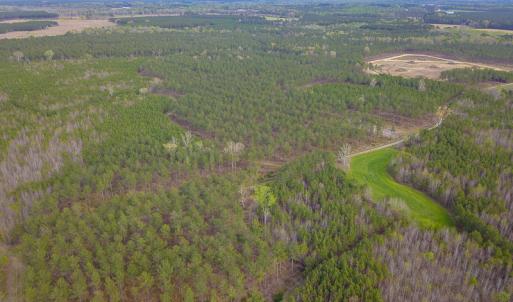 Photo #16 of SOLD property in 916 Republican Road, Windsor, NC 275.0 acres
