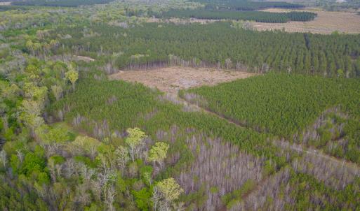 Photo #17 of SOLD property in 916 Republican Road, Windsor, NC 275.0 acres