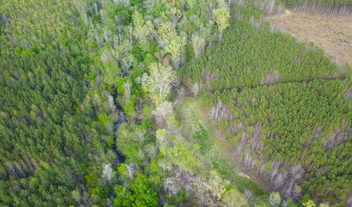 Photo #18 of SOLD property in 916 Republican Road, Windsor, NC 275.0 acres