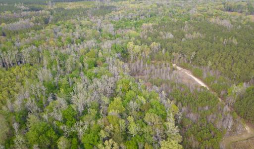 Photo #19 of SOLD property in 916 Republican Road, Windsor, NC 275.0 acres