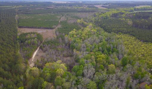 Photo #20 of SOLD property in 916 Republican Road, Windsor, NC 275.0 acres