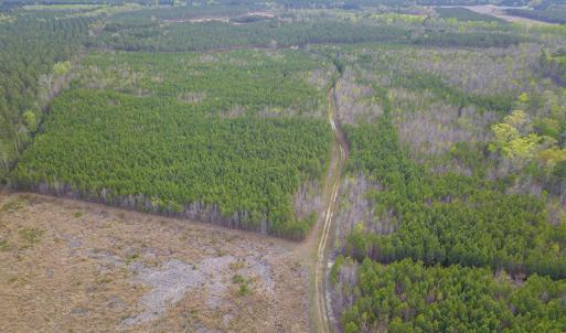 Photo #21 of SOLD property in 916 Republican Road, Windsor, NC 275.0 acres