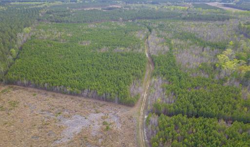 Photo #21 of SOLD property in 916 Republican Road, Windsor, NC 275.0 acres