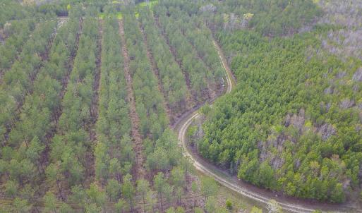 Photo #22 of SOLD property in 916 Republican Road, Windsor, NC 275.0 acres