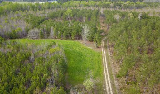 Photo #23 of SOLD property in 916 Republican Road, Windsor, NC 275.0 acres