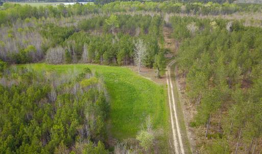 Photo #23 of SOLD property in 916 Republican Road, Windsor, NC 275.0 acres