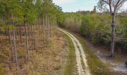 Photo #24 of SOLD property in 916 Republican Road, Windsor, NC 275.0 acres
