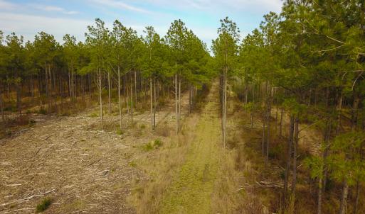 Photo #25 of SOLD property in 916 Republican Road, Windsor, NC 275.0 acres