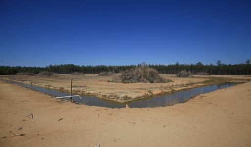 Photo #28 of SOLD property in 916 Republican Road, Windsor, NC 275.0 acres