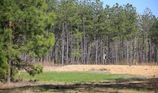 Photo #29 of SOLD property in 916 Republican Road, Windsor, NC 275.0 acres