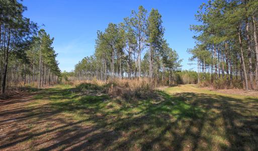 Photo #32 of SOLD property in 916 Republican Road, Windsor, NC 275.0 acres