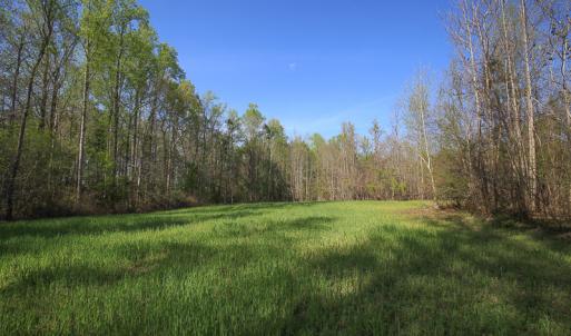 Photo #33 of SOLD property in 916 Republican Road, Windsor, NC 275.0 acres