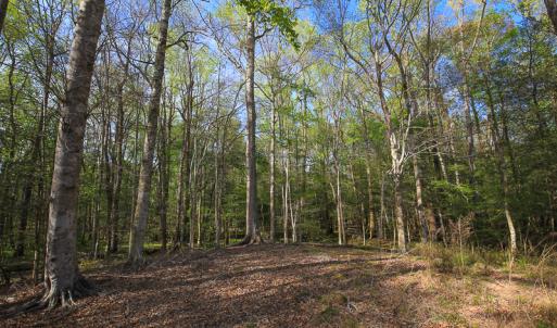 Photo #35 of SOLD property in 916 Republican Road, Windsor, NC 275.0 acres