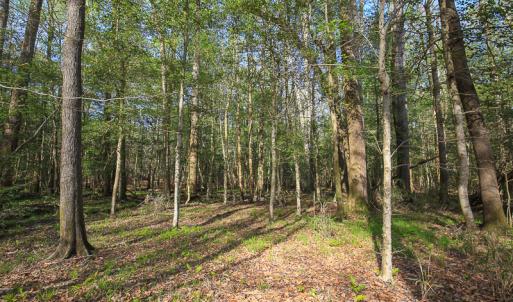 Photo #36 of SOLD property in 916 Republican Road, Windsor, NC 275.0 acres