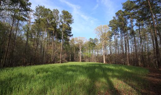 Photo #39 of SOLD property in 916 Republican Road, Windsor, NC 275.0 acres
